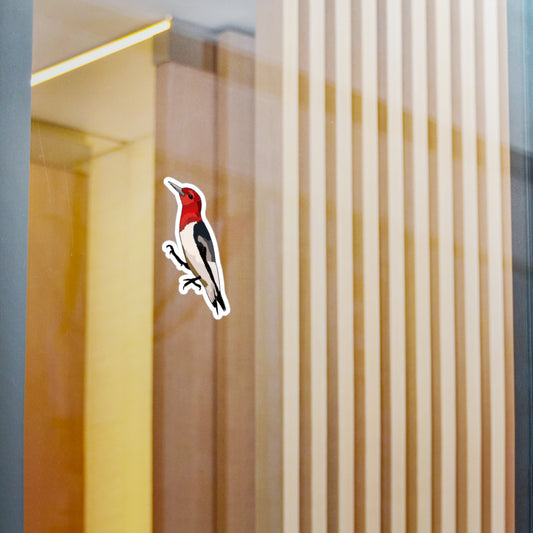 Vinyl Decal Sticker of Red Headed Woodpecker
