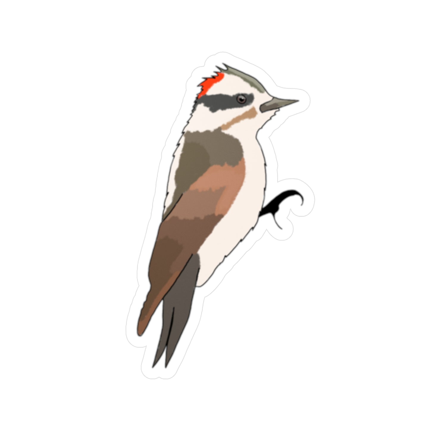 Hand Drawn Downy Woodpecker Sticker