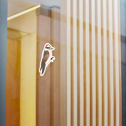 Hand Drawn Downy Woodpecker Sticker