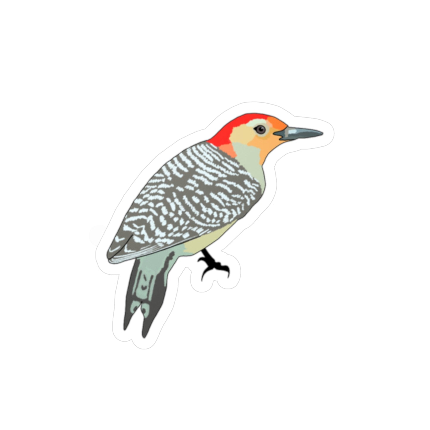 Vinyl Decal Red Bellied Woodpecker Sticker