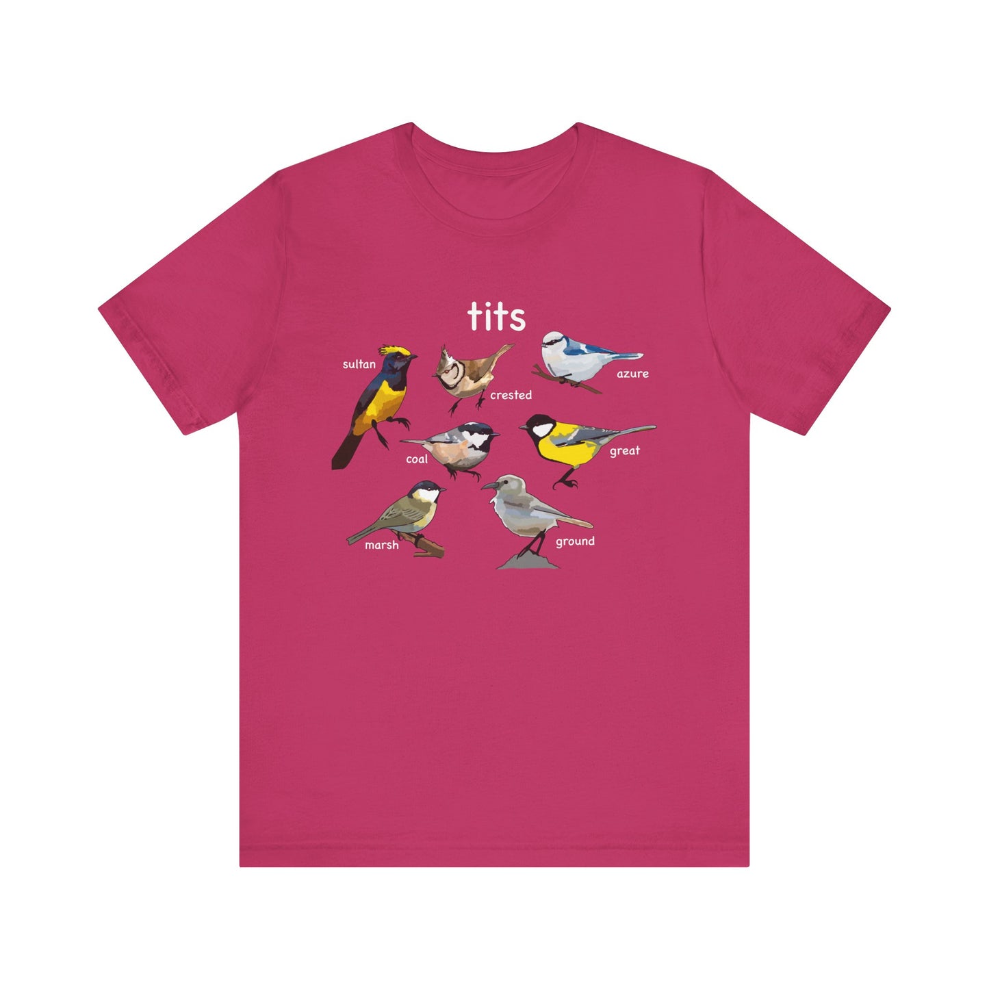 Bird Lover Tee Tits with Vintage Bird Illustrations, Nature Enthusiast Shirt, Gift for Birdwatchers, Eco-Friendly Fashion, Cute Graphic Tee,